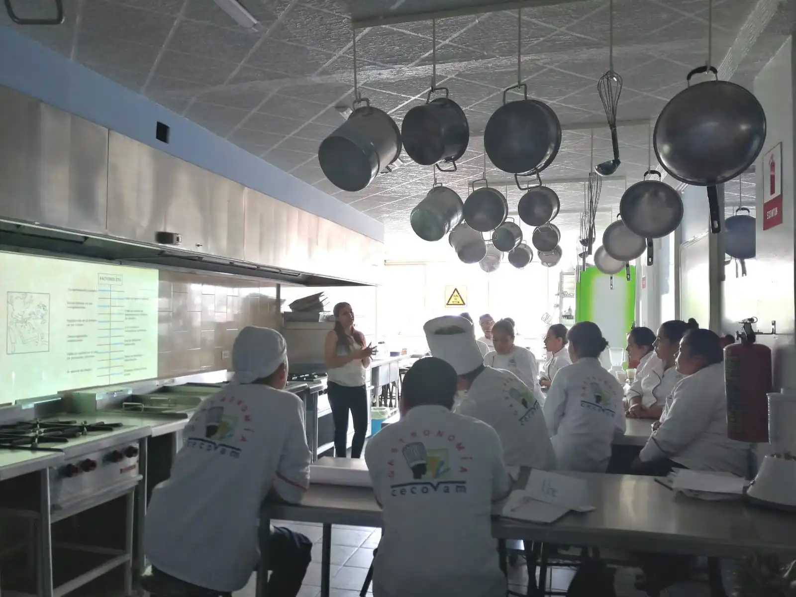 Foto Cocina Gastronomica 4