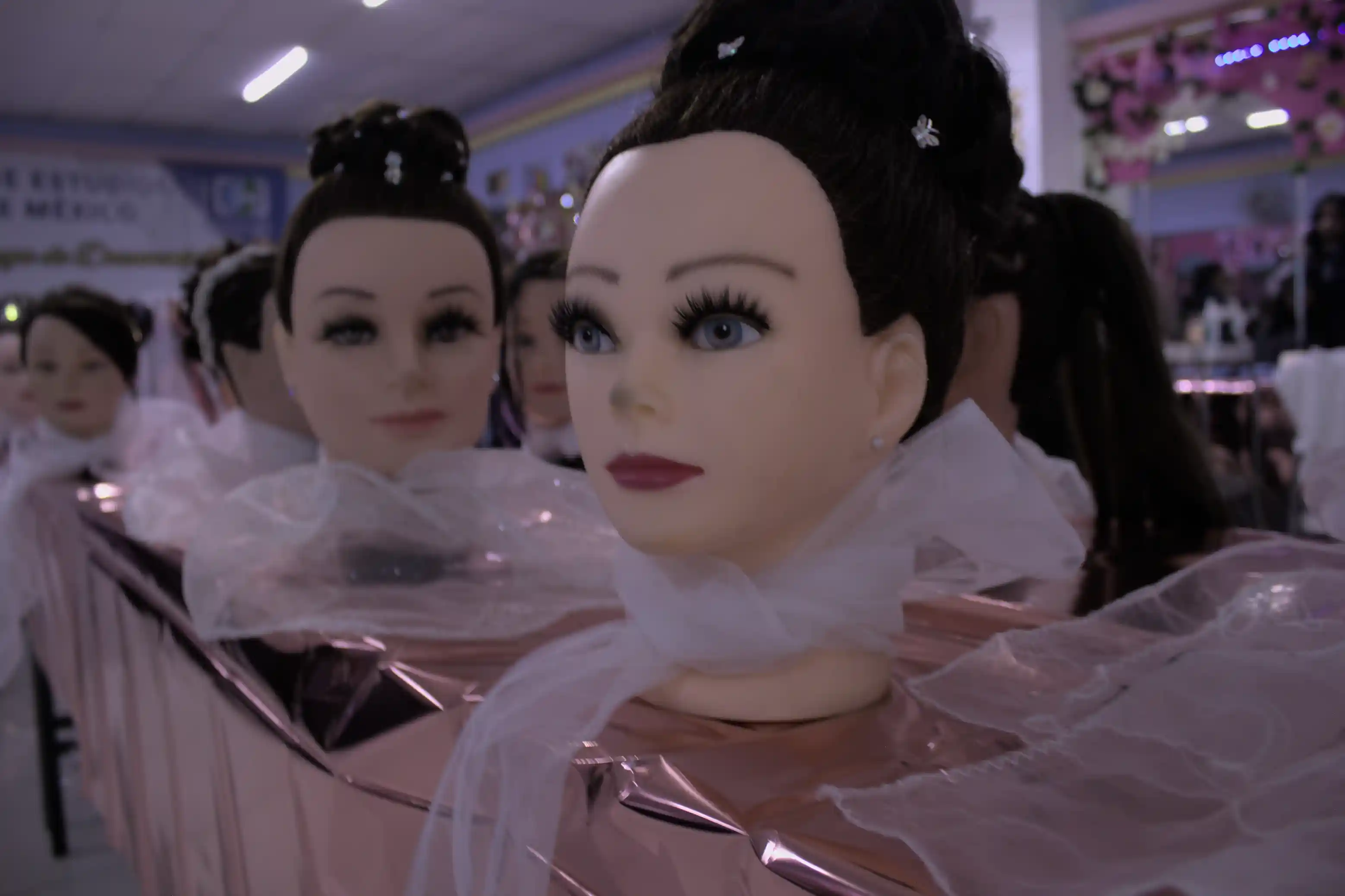 Proyecto de Belleza 4